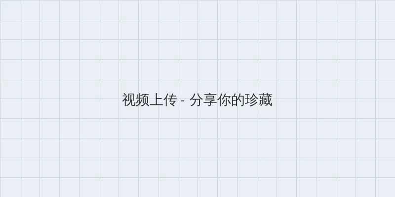 大团结闪闪发光 视频上传区域